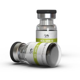 HCG 5000 IU HCG 5000 IU